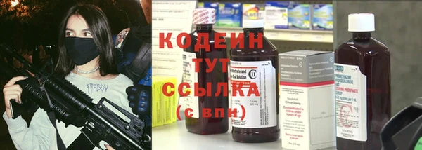 меф Вяземский