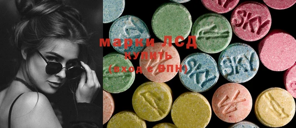 дживик Вязьма