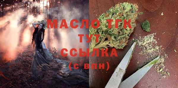 дживик Вязьма