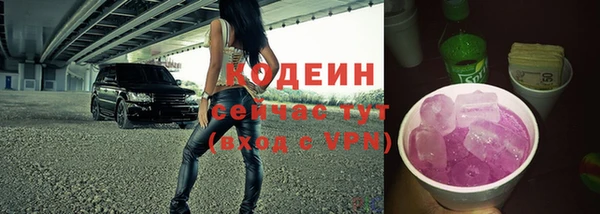 дживик Вязьма