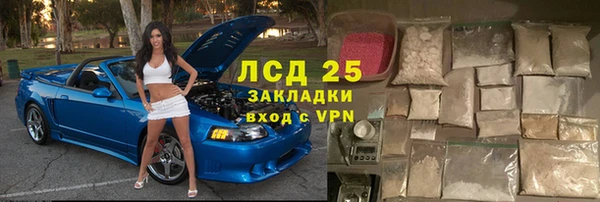 дживик Вязьма